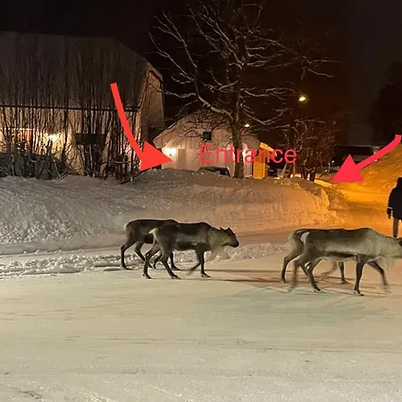 Quiet And Peaceful Apartment, Close To Everything Appartement