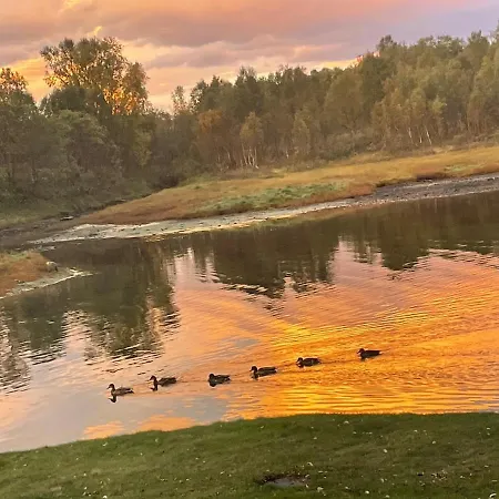 Quiet And Peaceful Apartment, Close To Everything