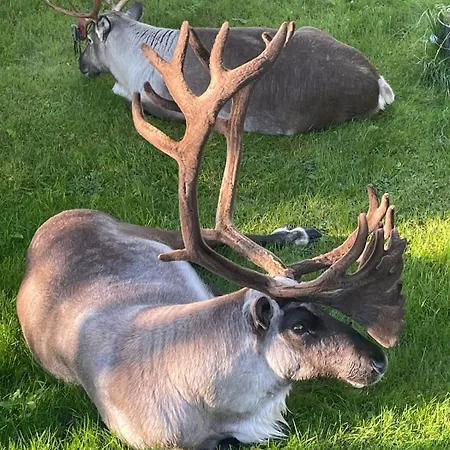 Quiet And Peaceful Apartment, Close To Everything Appartement