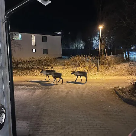 Appartement Quiet And Peaceful Apartment, Close To Everything Tromsø