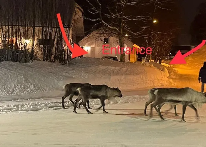 Apartman Quiet And Peaceful Apartment, Close To Everything *